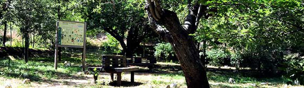 Arboretum «La Alfaguara»