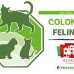 Programa de Gestión Ética de Colonias Felinas